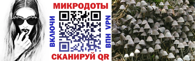 Псилоцибиновые грибы мицелий  Заволжск 
